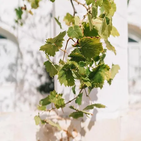 Masseria Ayroldi ファームステイ *
