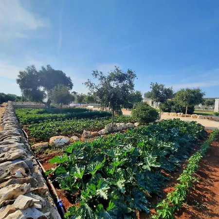 Masseria Ayroldi * オストゥーニ