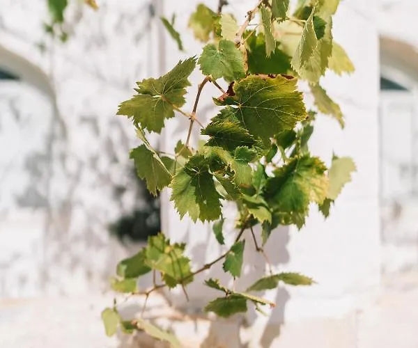 Masseria Ayroldi Séjour à la ferme *
