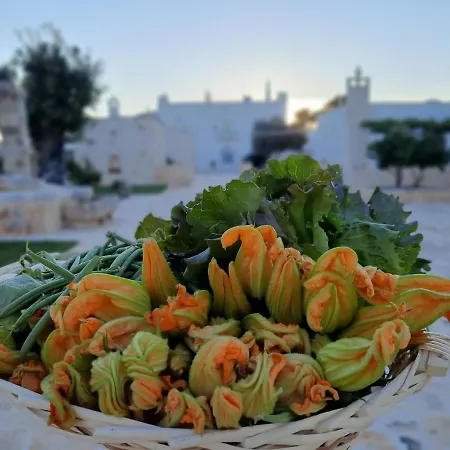 Masseria Ayroldi *