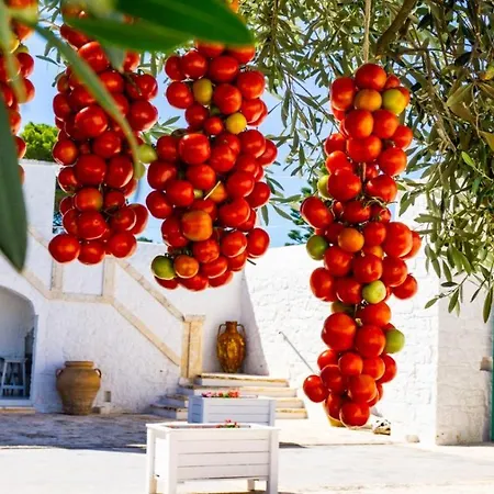 Masseria Ayroldi ファームステイ オストゥーニ